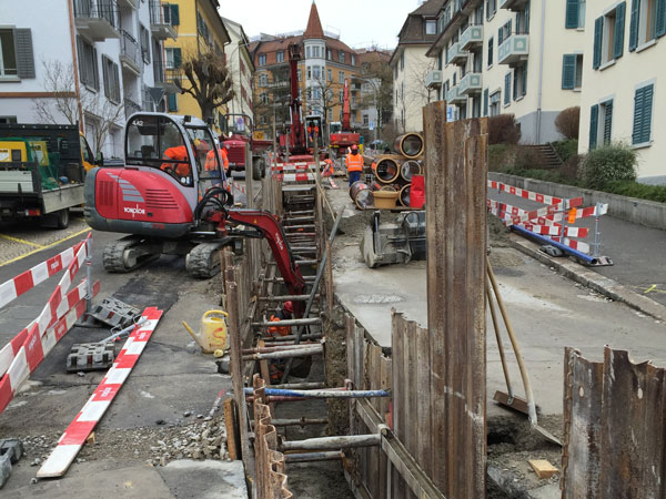 Referenzprojekt Imfeldstrasse