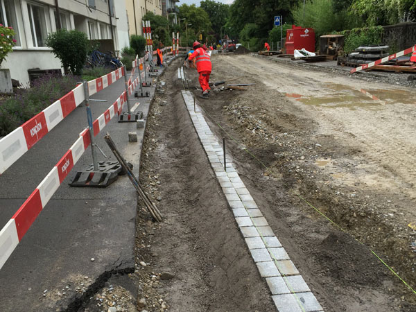 Referenzprojekt Imfeldstrasse